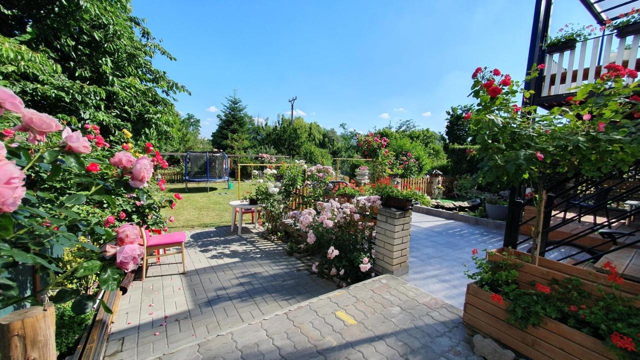 David Home 56 Znojmo Exterior foto