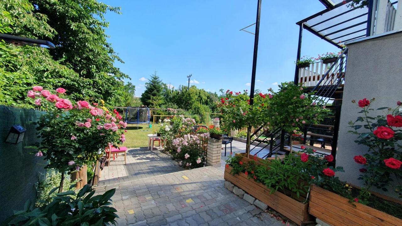 David Home 56 Znojmo Exterior foto